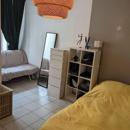 Apartment Mirador T2 Ensoleille Place Des Terreaux Vue Fourviere *